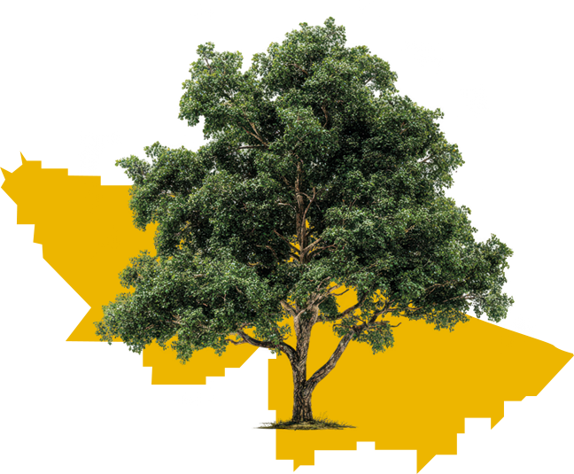 Árvore simbolizando a Amazônia