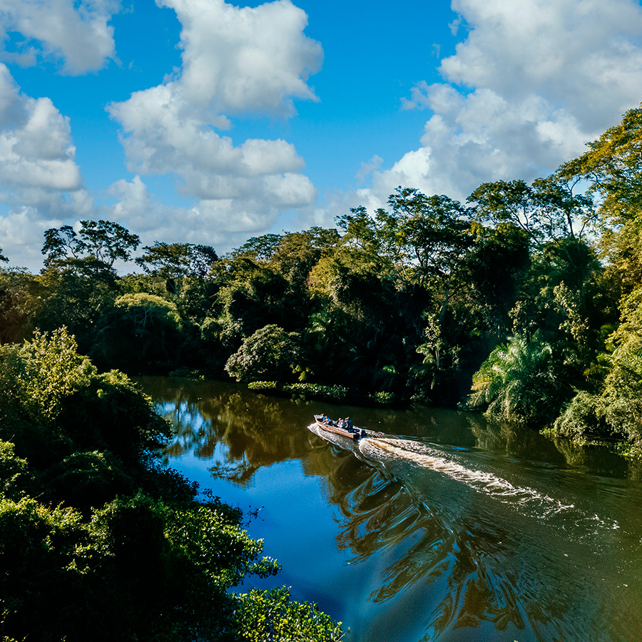 Reforma das leis ambientais